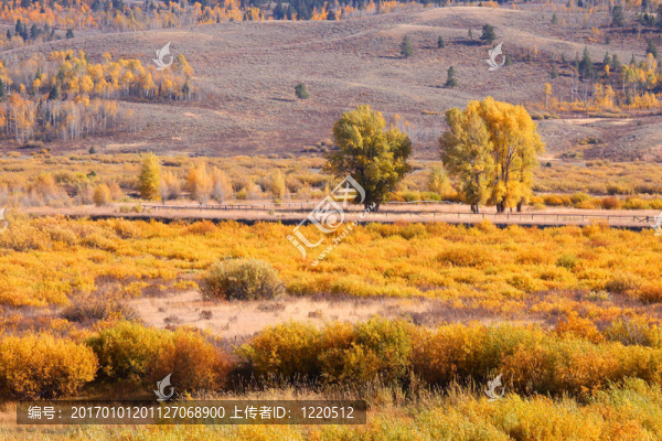 美麗的秋天的風(fēng)景