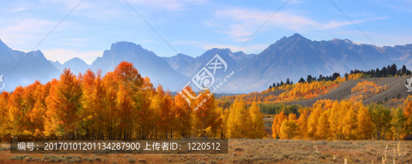 在大提頓山脈的秋天