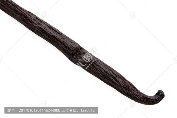 香草豆