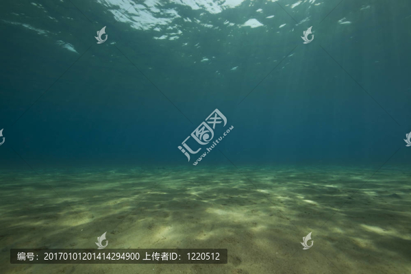 海洋和射線