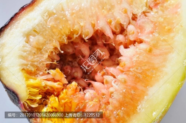 特寫圖