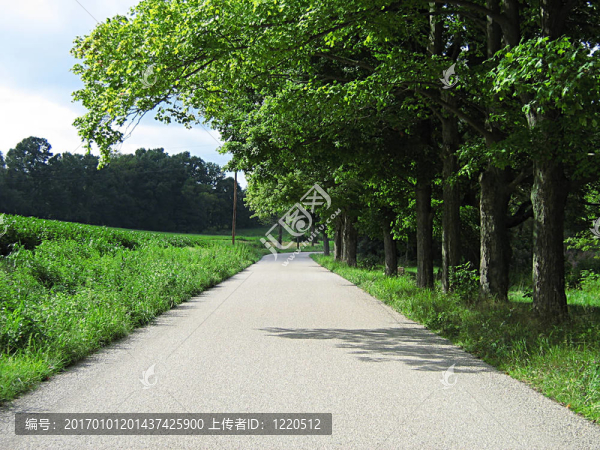 又上路了