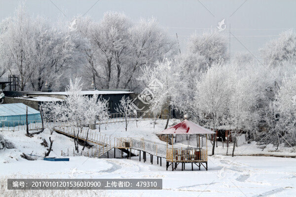 霧凇,冬天,雪景,玉樹瓊枝