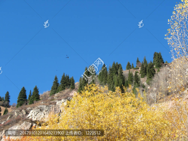山；天空；樹木