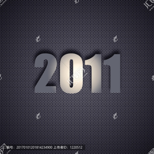 新的2011年