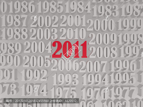 新的2011年