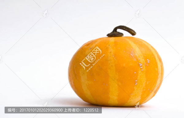 白色背景上的彩色迷你南瓜