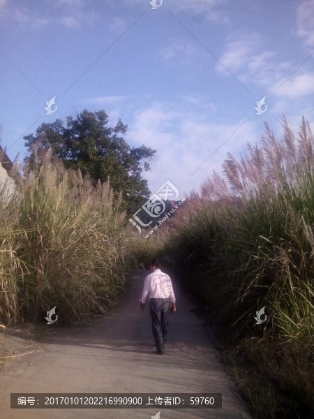 鄉(xiāng)間茅草路