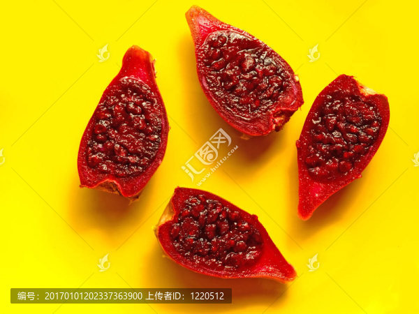 多刺的仙人掌仙人掌梨