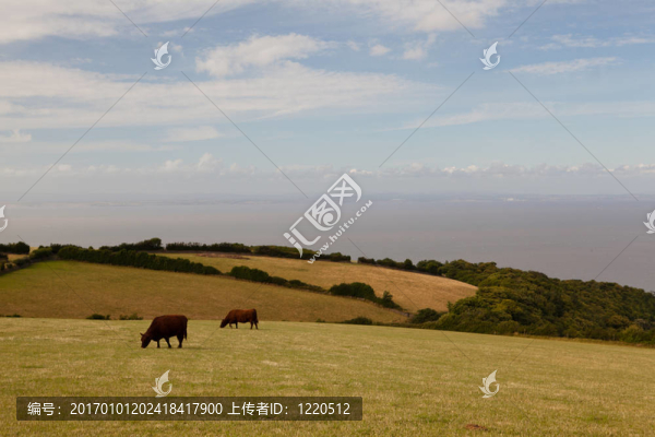 多塞特的風(fēng)景