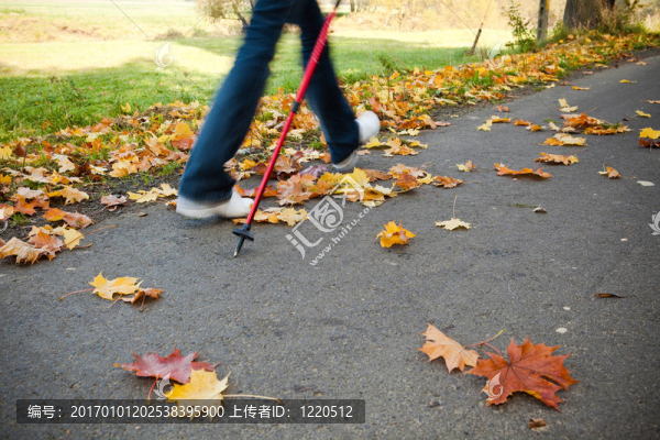 秋季步道上的北歐競走