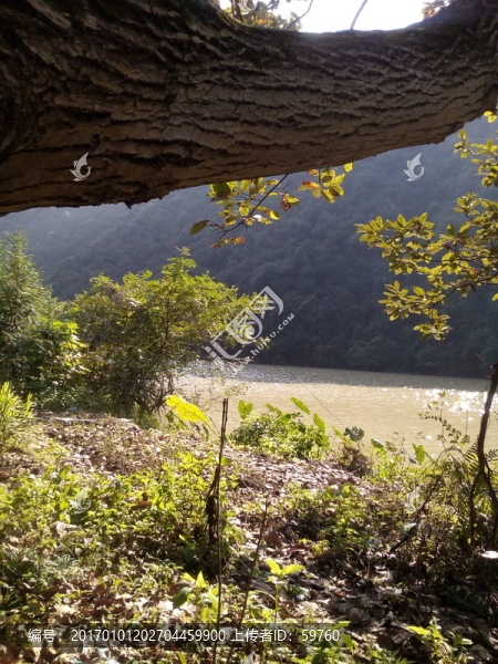 江邊風(fēng)景