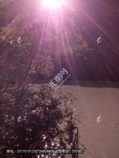 陽光灑在河面上