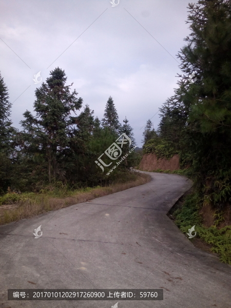 山間道路