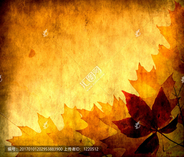 秋葉設(shè)計(jì)