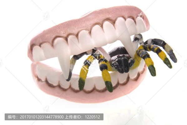 義齒