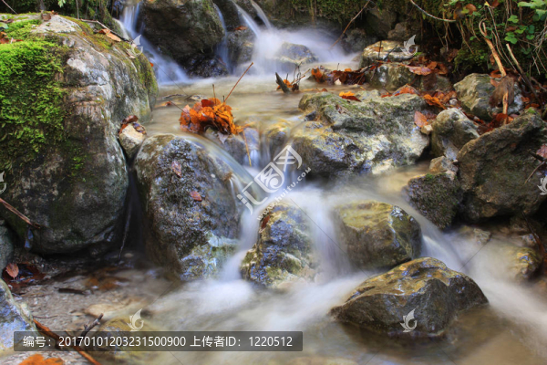 美麗的秋天