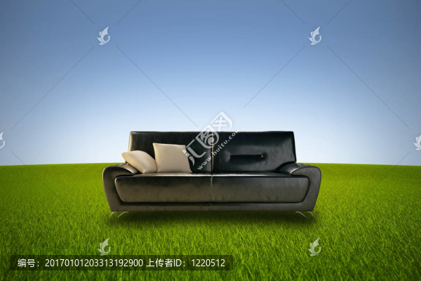 自然界中的生命
