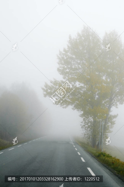 霧