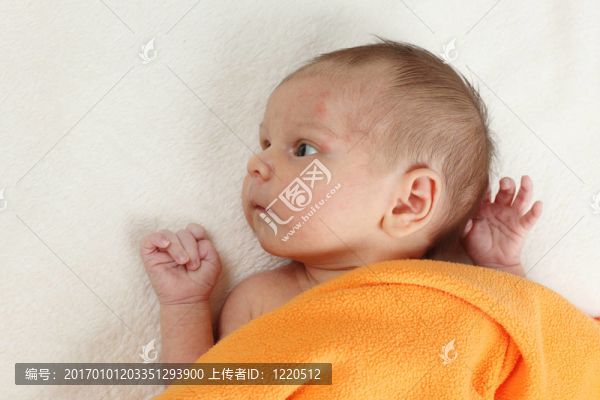 新生兒女嬰肖像