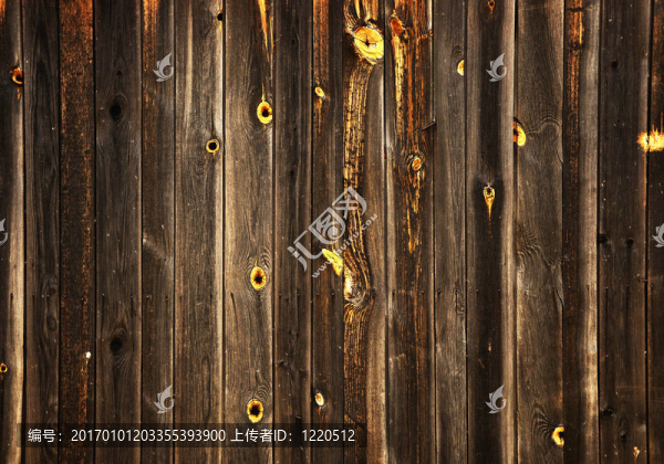 木板-匯圖網(wǎng) www.fosd68.com 木板