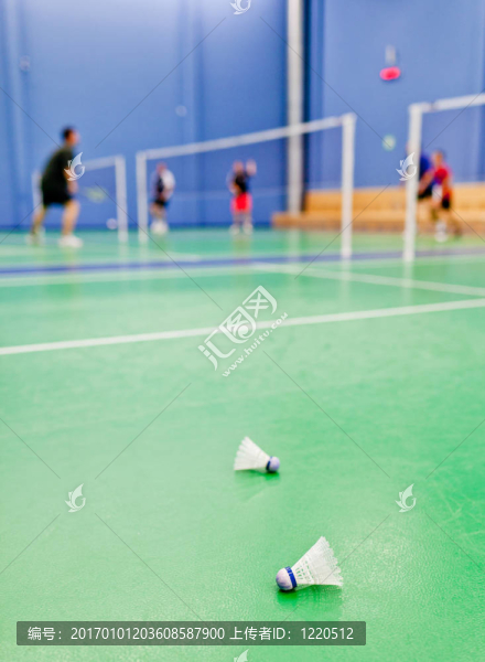 羽毛球-匯圖網(wǎng) www.fosd68.com 羽毛球