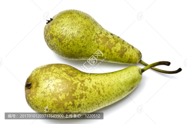 白梨