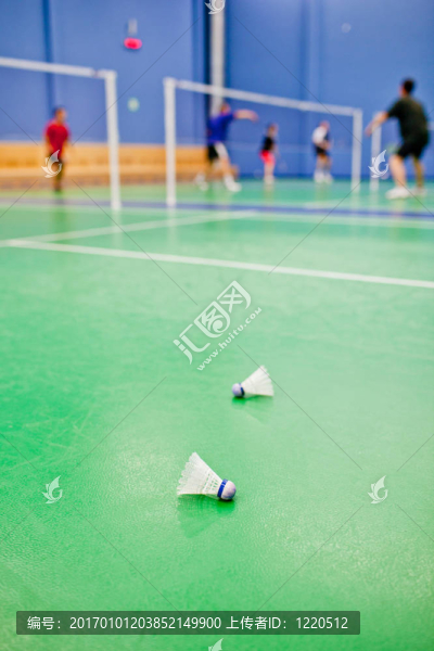 羽毛球