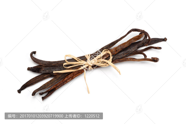 香草豆束