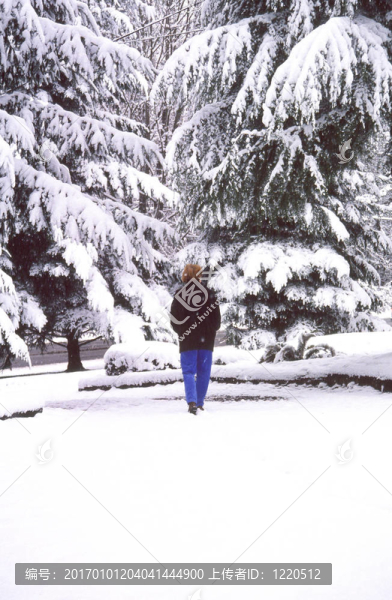 冬天的雪