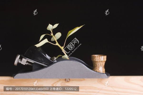 森林砍伐