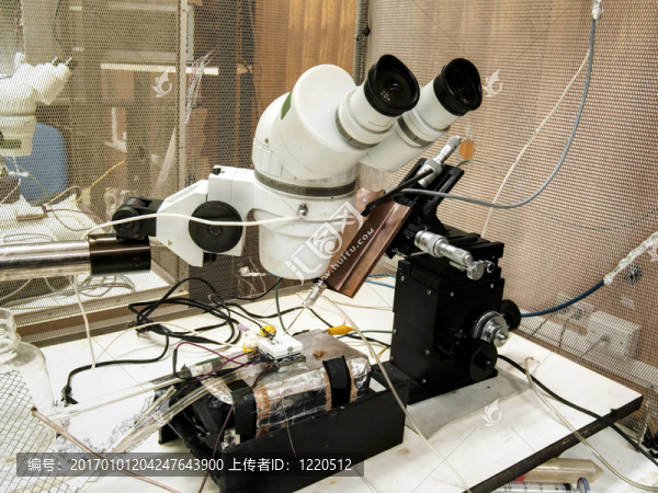 顯微鏡-匯圖網(wǎng) www.fosd68.com 顯微鏡