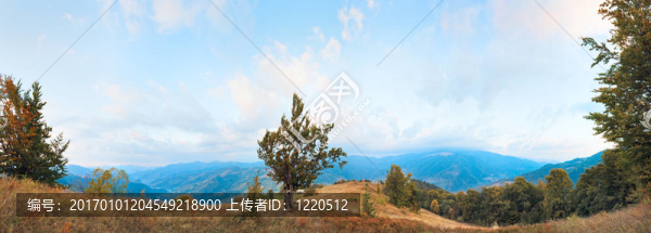 晨山全景