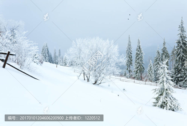 山地鄉(xiāng)村景觀