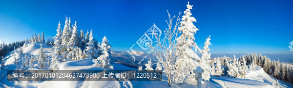 冬山全景