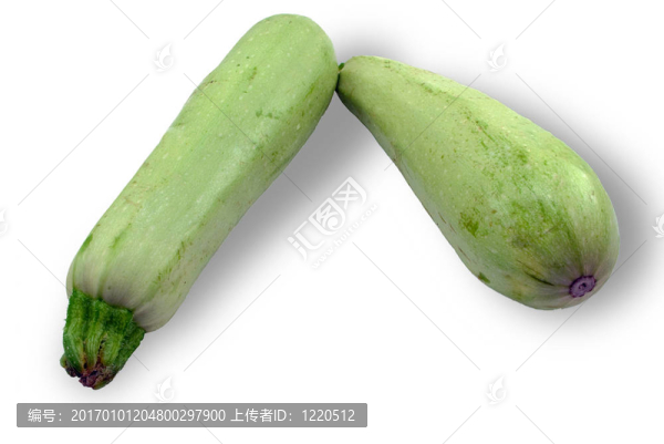 綠色的南瓜蔬菜