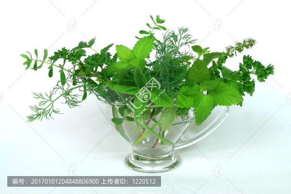 綠色成分