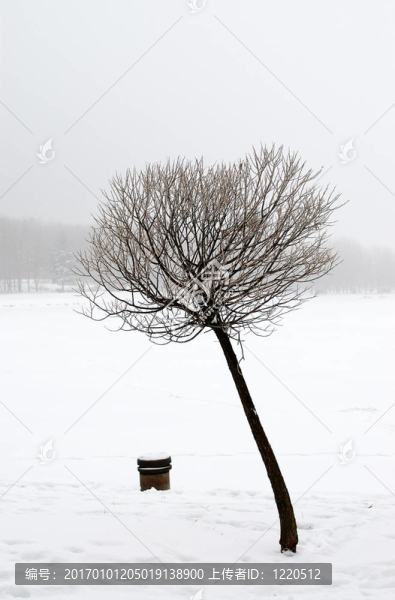 冬季景觀