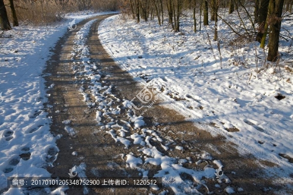 dirtroad-匯圖網(wǎng) www.fosd68.com dirtroad