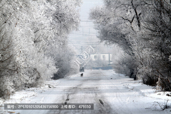 霧凇,冬天,雪景