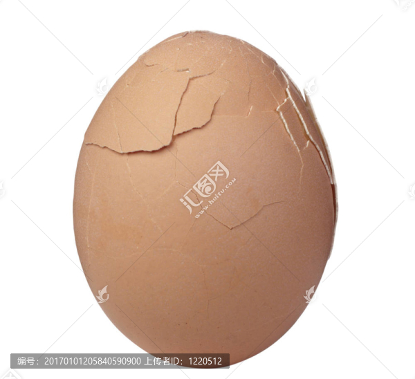 雞蛋-匯圖網(wǎng) www.fosd68.com 雞蛋