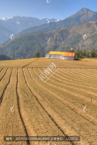 鄉(xiāng)村的風(fēng)景