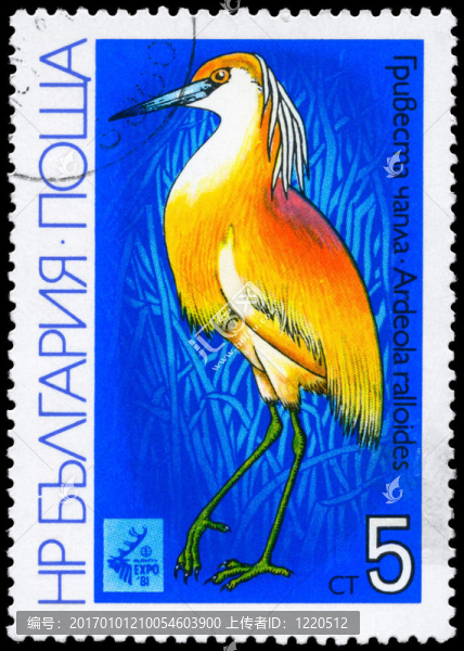 保加利亞-大約1981池鷺