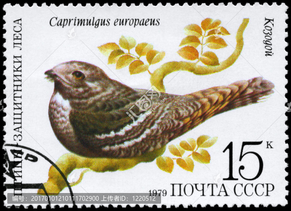 USSR,-大約1979夜鷹