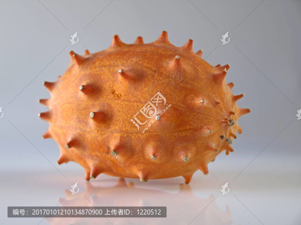 刺角瓜