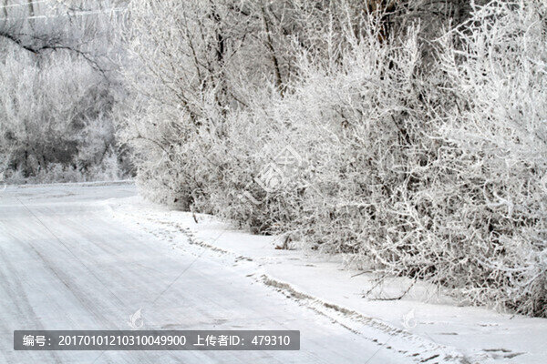 霧凇,冬天,雪景,玉樹瓊枝