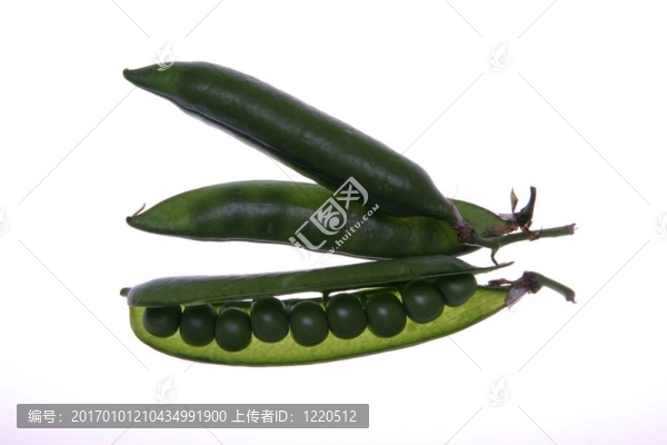 豆莢里的豌豆