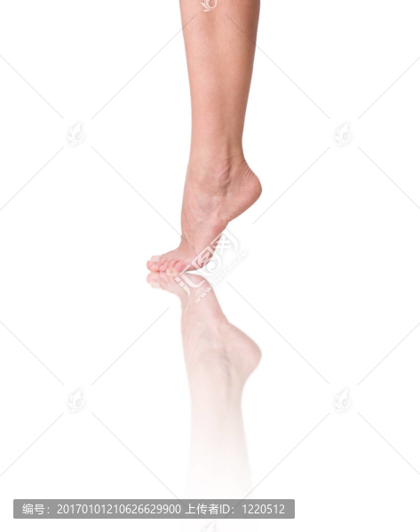 性感的女人的腿