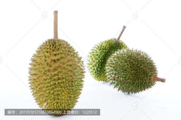 在白色背景的榴蓮