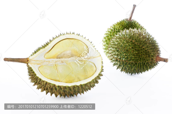 在白色背景的榴蓮